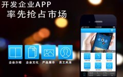 企业定制原生app的理由
